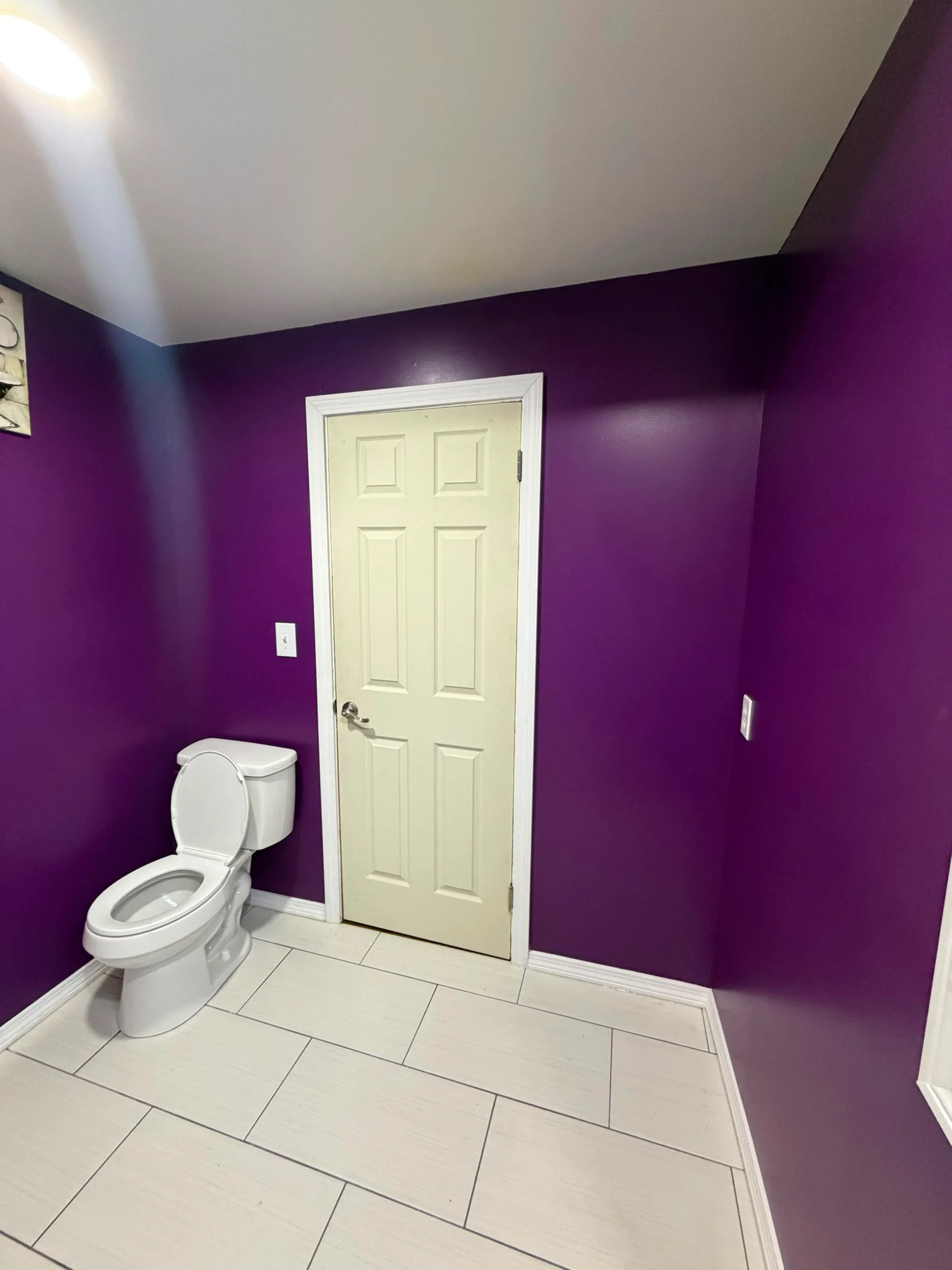Painting Services project 3